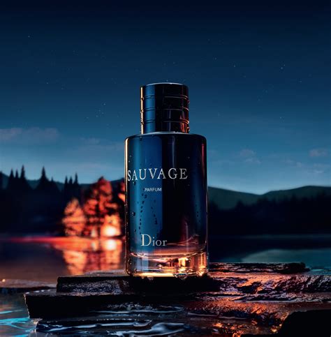 imitazione dior fragranza|Dior sauvage fragrance.